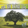 Our Sun Brings Life Our Sun Brings Life - Conrad J. Storad