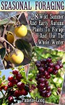 Seasonal Foraging: 28 Wild Summer And Early Autumn Plants To Forage And Use The Whole Winter: (Edible Wild Plants, Four Season Harvest, Foraging) (Foraging Food) - Pamela Long