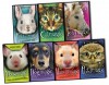 Holly Webb Set Magic Molly 6 Books Collection Pack Animal & Pets Story Pack (The Good Luck Duck, The Secret Pony, The Shy Piglet, The Wish Puppy, The Invisible Bunny, The Witch's Kitten) (Magic Molly Animal Stories Collection) - Holly Webb