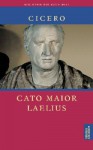 Cato Maior. Laelius / Cato Der Altere. Laelius - Cicero, Max Faltner, Gerhard Fink