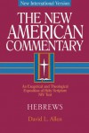 New American Commentary: Hebrews, Volume 35 - David L. Allen