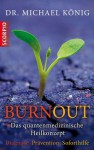 Burn-out: Das quantenmedizinische Heilkonzept Diagnose - Prävention - Soforthilfeprogramm (German Edition) - Michael König