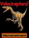 Velociraptors! Learn About Velociraptors and Enjoy Colorful Pictures - Look and Learn! (50+ Photos of Velociraptors) - Becky Wolff