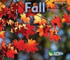 Fall (Seasons: Acorn) - Rebecca Rissman