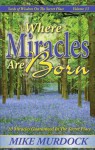 Where Miracles Are Born - Mike Murdock