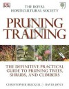 Rhs Pruning and Training - Christopher Brickell, David Joyce