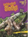 Let's Look at Sloths - Janet Piehl