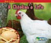 A Chicken's Life - Nancy Dickmann