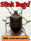 Stink Bugs! Learn About Stink Bugs and Enjoy Colorful Pictures - Look and Learn! (50+ Photos of Stink Bugs) [Kindle Edition] - Becky Wolff