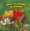 What Blossoms in Spring? - Jenna Lee Gleisner