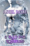 A WILDer Wonderland - Sexy Stories Of The Season - Angel Payne