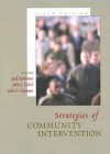 Strategies of Community Intervention: Macro Practice - Jack Rothman, John E. Tropman, John L. Erlich