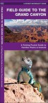 Field Guide to the Grand Canyon: An Introduction to Familiar Plants and Animals - James Kavanagh, Raymond Leung