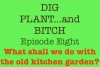 What shall we do with the old kitchen garden? (Dig, Plant and Bitch - the Soap Opera for Gardeners Book 8) - Noel Kingsbury