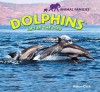 Dolphins: Life in the Pod - Willow Clark