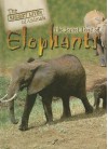 The Secret Lives of Elephants - Julia Barnes