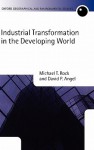 Industrial Transformation in the Developing World - Michael Rock, David Angel