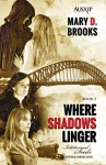 Where Shadows Linger (Intertwined Souls Historical Romance Series Book 2) - Mary D. Brooks