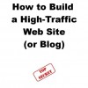 How to Build a High-Traffic Web Site or Blog - Steve Pavlina, Joe Abraham