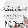 A Tender Moment: A Darcy and Elizabeth Short Story - P. O. Dixon, Pearl Hewitt