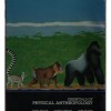 Essentials of Physical Anthrop Ology - Harry Nelson, Lynn Kilgore, Robert Jurmain