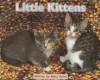 Little Kittens - Mary Solins