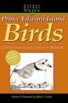 Formac Pocketguide to Prince Edward Island Birds: 130 Inland and Shore Birds - Jeffrey C. Domm