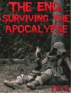 The End: Surviving the Apocalypse - Richard Palmer