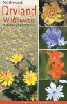 Northwest Dryland Wildflowers: Sagebrush and Ponderosa (Northwest Wildflowers Series) - Dana Visalli, David Hancock