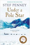 Under A Pole Star - Stef Penney