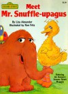 Meet Mr. Snuffle-upagus - Liza Alexander