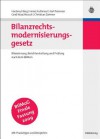 Bilanzrechtsmodernisierungsgesetz: Bilanzierung, Berichterstattung Und Prufung Nach Dem Bilmog - Mit Praxistipps Und Beispielen - Hartmut Bieg, Heinz Kußmaul, Karl Petersen, Gerd Waschbusch, Christian Zwirner