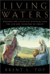 Living Waters: Messages for Latter-Day Disciples from the Life and Teachings of Christ - Brent L. Top