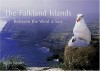 The Falkland Islands : Between the Wind & Sea - Kevin Schafer