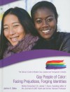 Gay People of Color: Facing Prejudices, Forging Identities - Jaime A. Seba