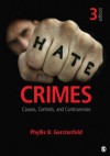 Hate Crimes: Causes, Controls, and Controversies - Phyllis B Gerstenfeld