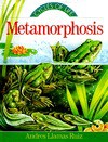 Metamorphosis - Andres Llamas Ruiz