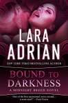 Bound to Darkness - Lara Adrian, Hillary Huber