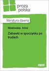 Zabawki w spoczynku po trudach - Anna Mostowska