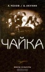 Чайка - Anton Chekhov, Boris Akunin