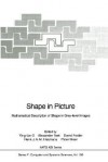 Shape in Picture: Mathematical Description of Shape in Grey-Level Images - Springer-Verlag