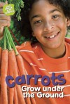 Carrots Grow under the Ground - Taylor Jones, Anne Faundez