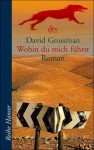 Wohin du mich führst - David Grossman