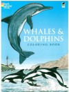 Whales and Dolphins Coloring Book (Dover Nature Coloring Book) - John Green