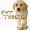 Pet Tricks - Meg Greve, Jeanne Sturm