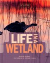 Life in a Wetland - Melissa Stewart