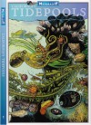 California's Tidepools (Weekend Naturalist Nature Guide Foldout #1) - Dawn Navarro Ericson, Dan Richards