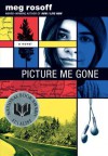 Picture Me Gone - Meg Rosoff