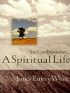 You Can Experience . . . A Spiritual Life: Food, Fellowship, and a Celebration of God's Bounty - James Emery White