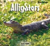 Alligators - Alice Twine